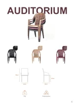 Chair Auditorium - Image 4