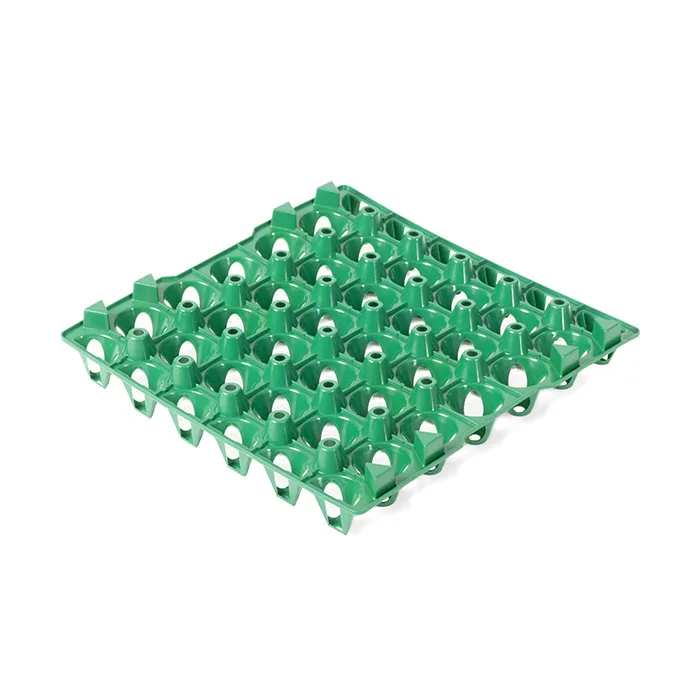 Egg-Tray-EC02-2025-green.jpg Egg Tray EC02 - Image 1