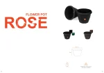 Flower Pot Rose - Image 5