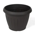 Flower Pot Rose - Image 4