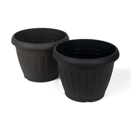 Flower Pot Rose